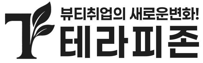 테라피존